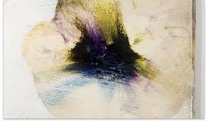 Microcambios, Cecilia Monllor